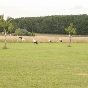 Haeusla Dannberg